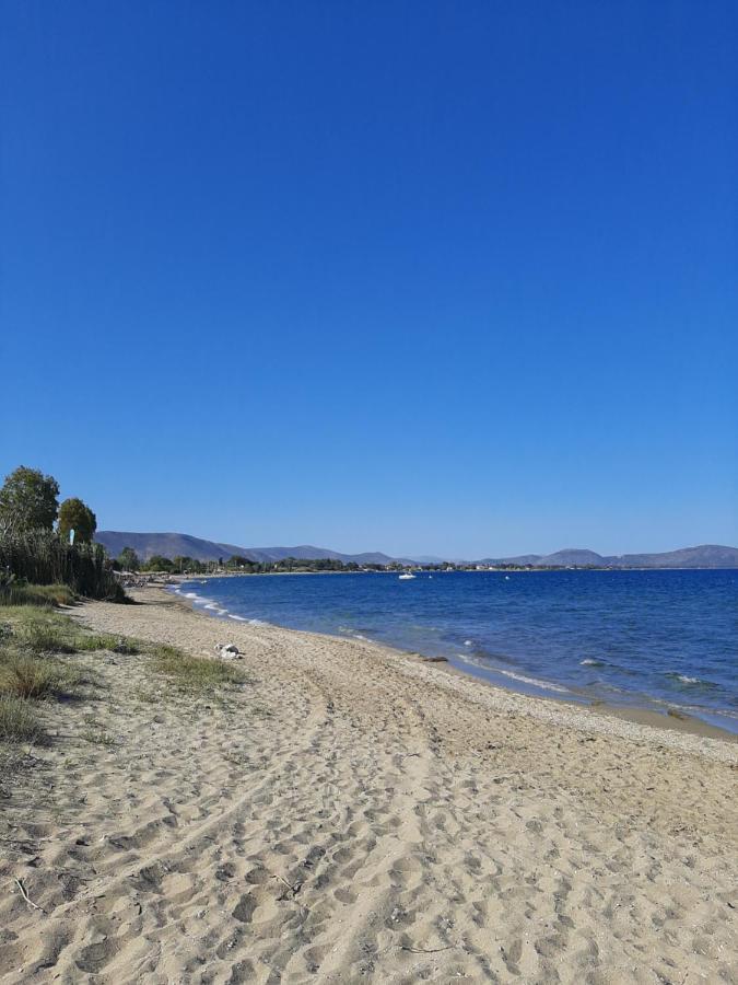 Cozy Flat In Nea Makri Apartman Kültér fotó